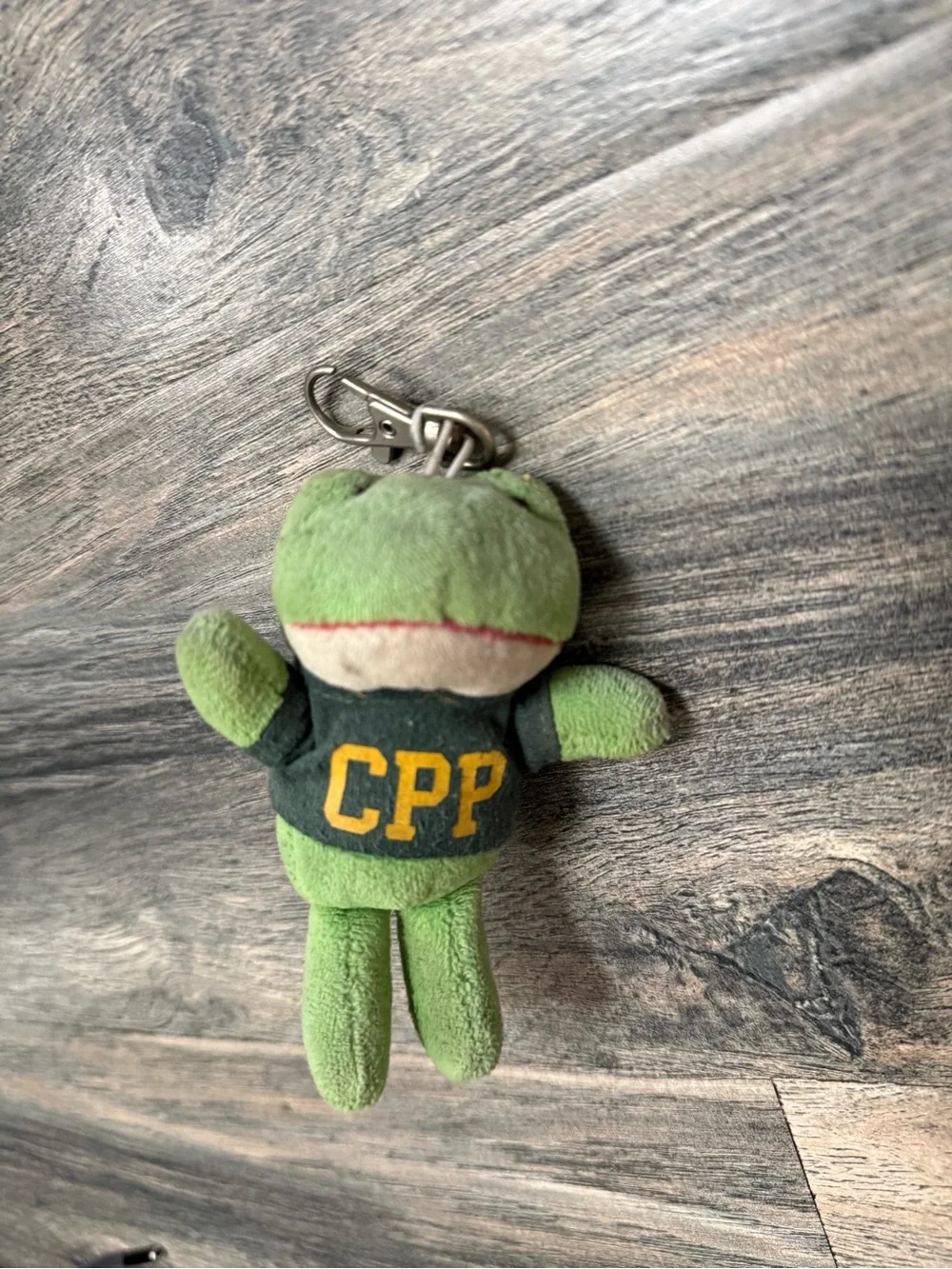 Frog Mascot Plushie Keychain